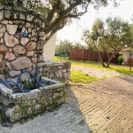 Πετρινη Κατοικια Στην Φυση Villa Tagarades ภายนอก รูปภาพ