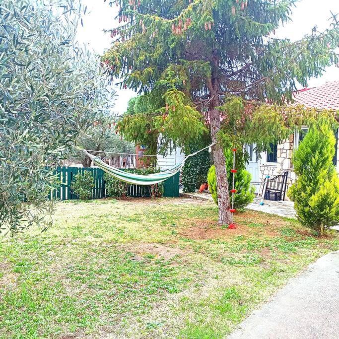 Πετρινη Κατοικια Στην Φυση Villa Tagarades ภายนอก รูปภาพ