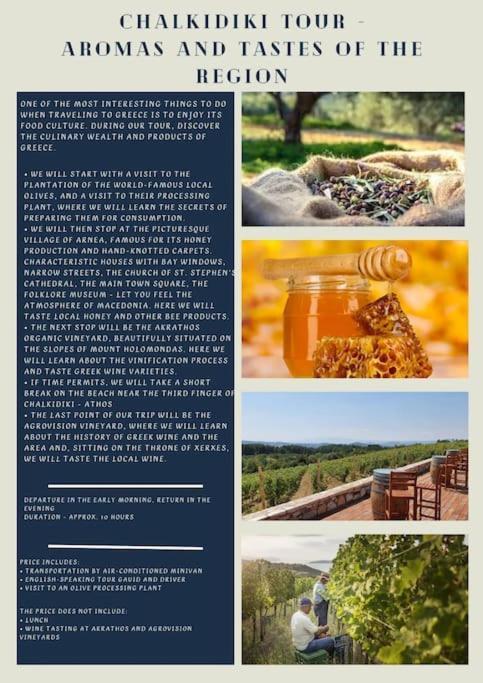 Πετρινη Κατοικια Στην Φυση Villa Tagarades ภายนอก รูปภาพ