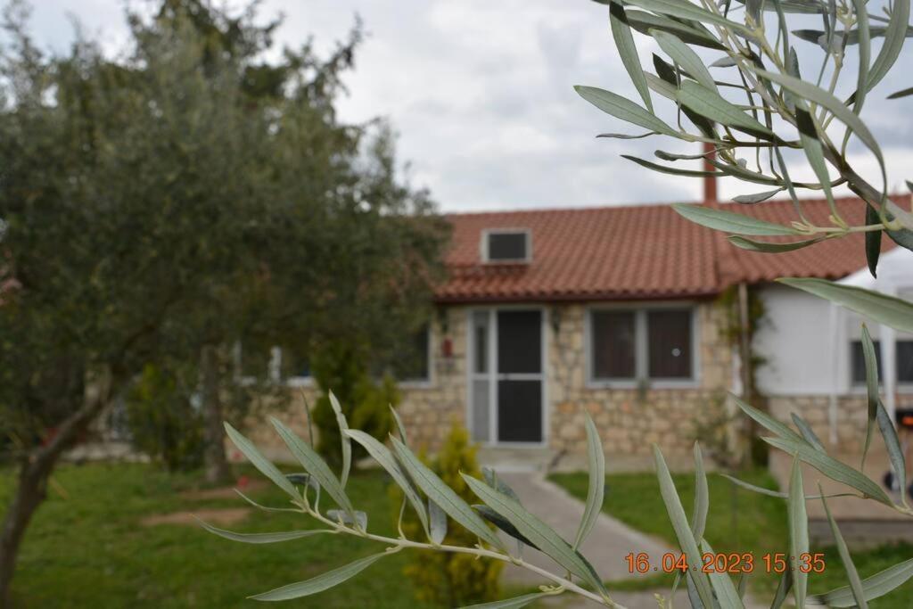 Πετρινη Κατοικια Στην Φυση Villa Tagarades ภายนอก รูปภาพ